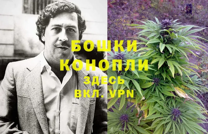 Каннабис SATIVA & INDICA  сколько стоит  Шлиссельбург 